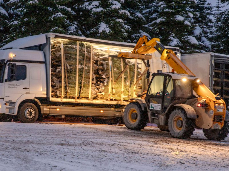 weihnachtsbaeume-lkw-versand